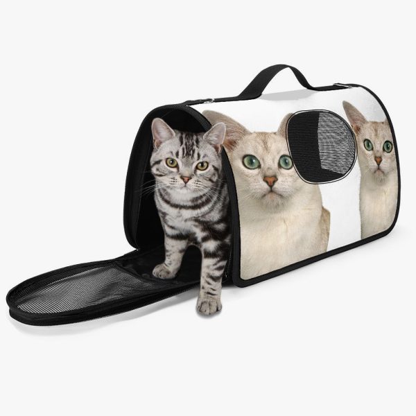 Stylish Pet Carrier Customized Bag