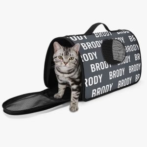 Stylish Pet Carrier Bag